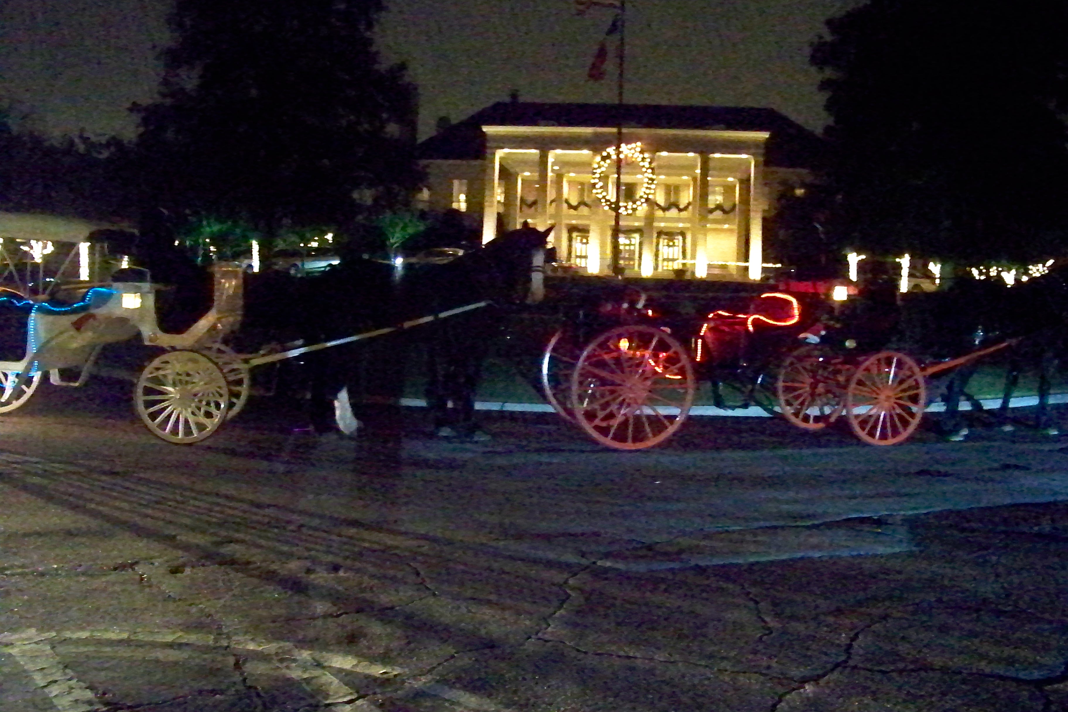 Horse Carriage Rides Texas, Wedding Horse Carriage, Horse Drawn